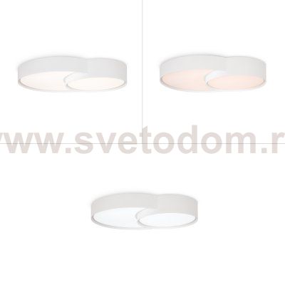 Потолочный светильник Freya FR6094CL-L72W