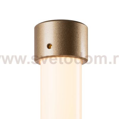 Настенный светильник (бра) Freya FR6108WL-L10G