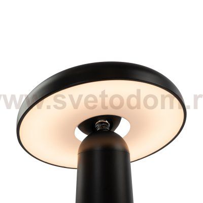 Аккумуляторный светильник Freya FR6109TL-L4B