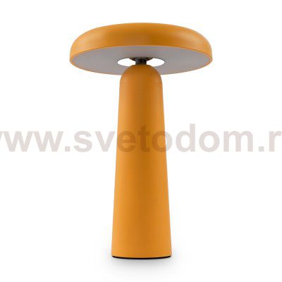 Аккумуляторный светильник Freya FR6109TL-L4OR