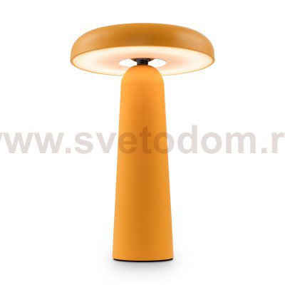 Аккумуляторный светильник Freya FR6109TL-L4OR