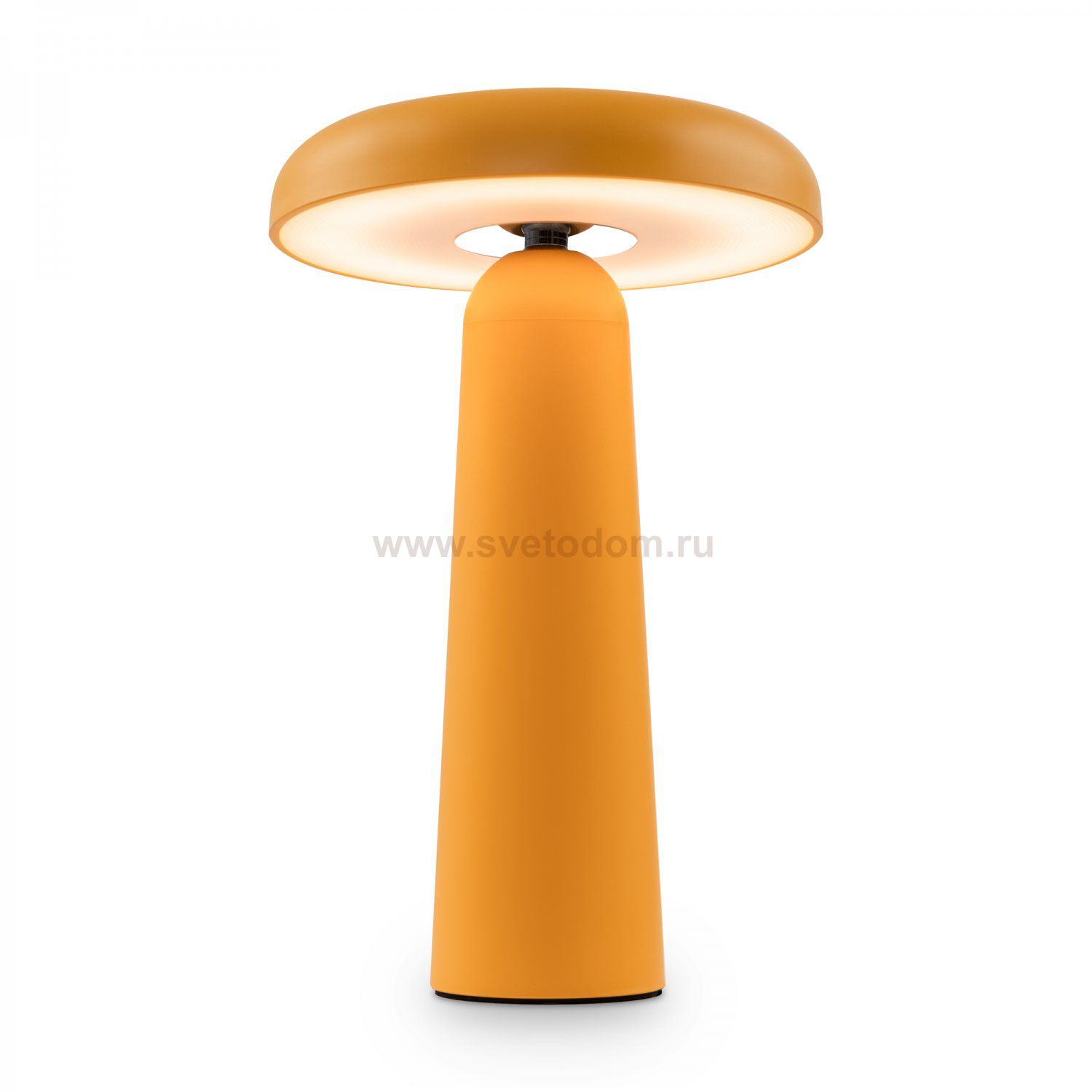 Аккумуляторный светильник Freya FR6109TL-L4OR