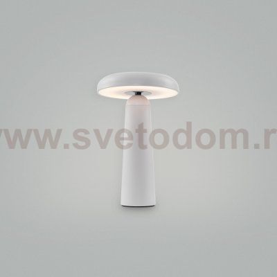 Аккумуляторный светильник Freya FR6109TL-L4W