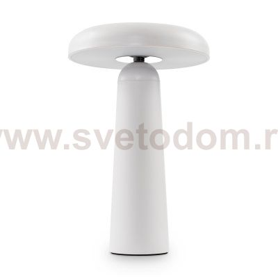 Аккумуляторный светильник Freya FR6109TL-L4W