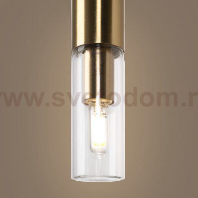 Настенный светильник (бра) Freya FR6109WL-02G