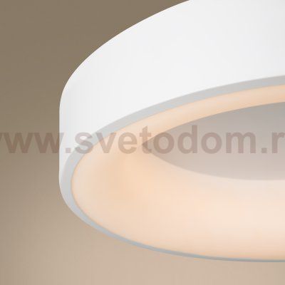 Потолочный светильник Freya FR6118CL-L45W