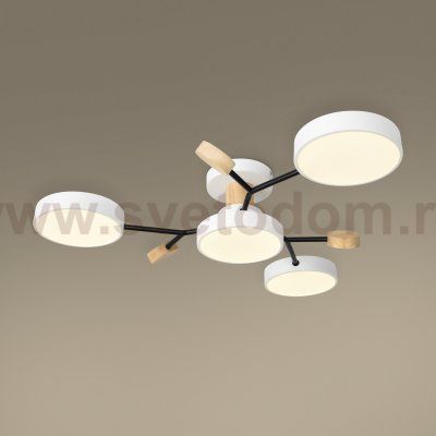 Потолочный светильник Freya FR6119CL-L48W