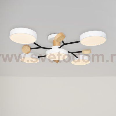 Потолочный светильник Freya FR6119CL-L60W