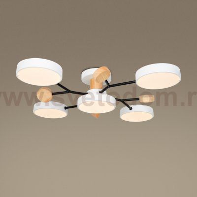 Потолочный светильник Freya FR6119CL-L60W