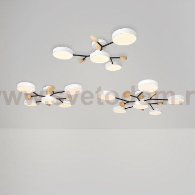 Потолочный светильник Freya FR6119CL-L72W