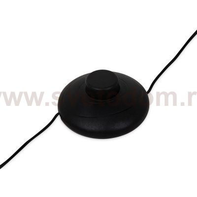 Напольный светильник (торшер) Freya FR6122FL-L22B