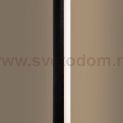 Напольный светильник (торшер) Freya FR6122FL-L22B