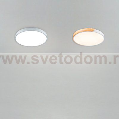Потолочный светильник Freya FR6129CL-L80GR