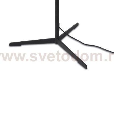 Напольный светильник (торшер) Freya FR6132FL-L15B Vabi