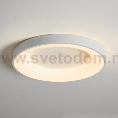 Потолочный светильник Freya FR6157CL-L65W