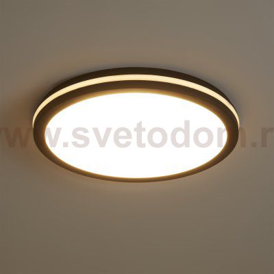 Потолочный светильник Freya FR6160CL-L40B