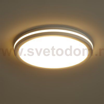 Потолочный светильник Freya FR6160CL-L40W