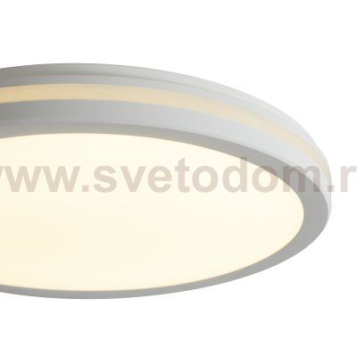 Потолочный светильник Freya FR6160CL-L40W