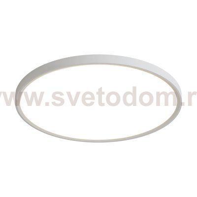 Потолочный светильник Freya FR6161CL-L40W