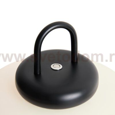 Настольный светильник Freya FR6175TL-L10B Take