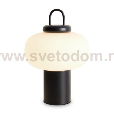 Настольный светильник Freya FR6175TL-L10B Take