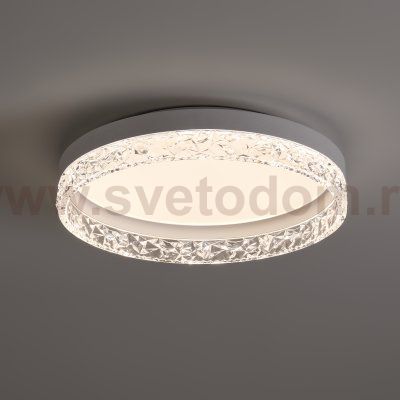 Потолочный светильник Freya FR6193CL-L48W