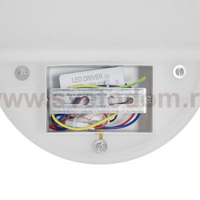 Настенный светильник (бра) Freya FR6199WL-L4W
