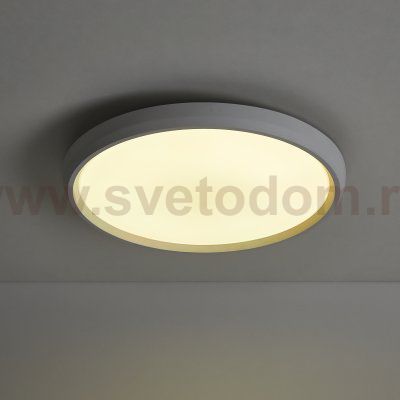 Потолочный светильник Freya FR6211CL-L24W