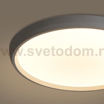 Потолочный светильник Freya FR6211CL-L24W