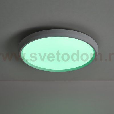 Потолочный светильник Freya FR6211CL-L24W