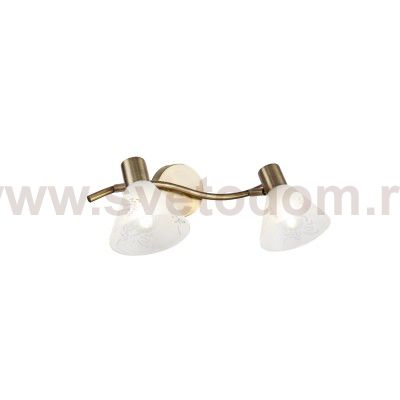 Светильник поворотный спот Freya FR7001WL-02BZ Paola