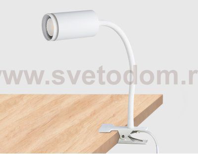 Светильник переносной на прищепке с выключателем Ambrella FW2467 FW