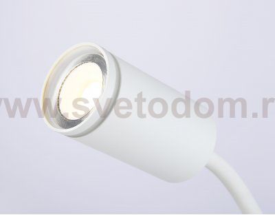 Светильник переносной на прищепке с выключателем Ambrella FW2467 FW