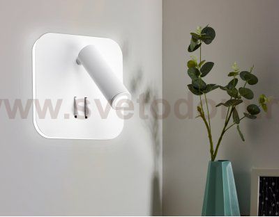 Настенный светодиодный светильник с выключателем Ambrella FW254 FW