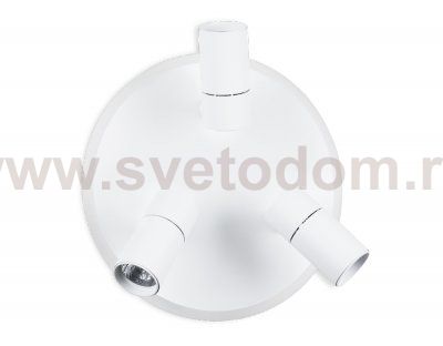 Настенный светильник Ambrella FW261