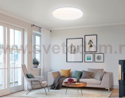 Светодиодный светильник RGB с пультом управления Ambrella FZ418 WH белый IP20 66W 3000K-6500K+RGB D480*65 (ПДУ ИК)