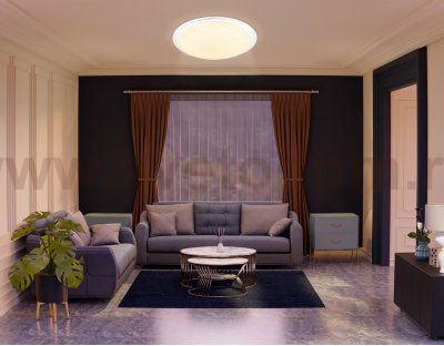 FZ770 WH белый IP20 42W 3000-6500K+RGB 450*55 (ПДУ ИК)