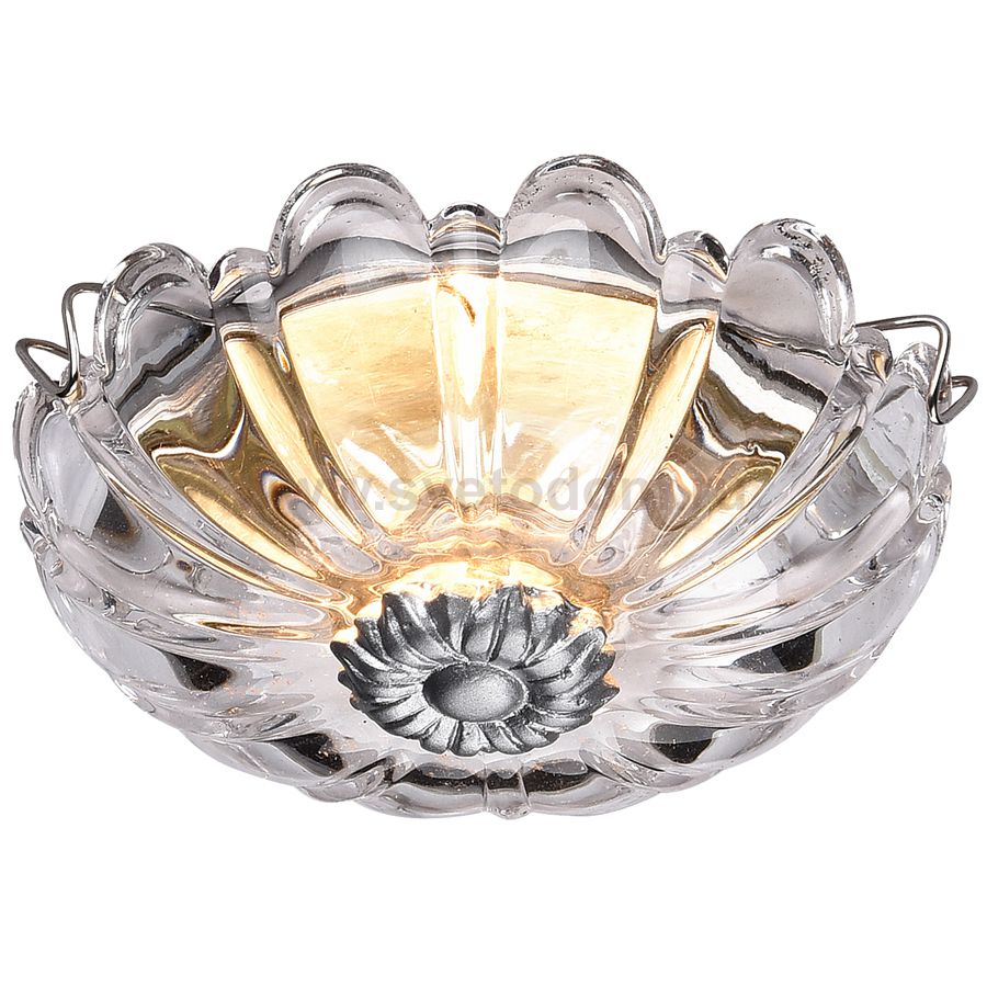 Настенно-потолочный светильник Favourite 1556-1C Conti