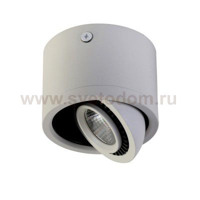 Потолочный светильник Favourite 1774-1C Reflector