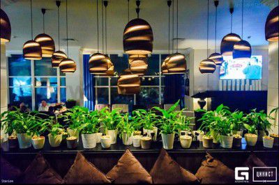 Светильник подвесной Favourite 1335-1P Karton