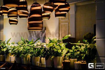 Светильник подвесной Favourite 1236-3P Karton