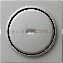 Gira S-Color Серый Клавиша с подсветкой (G029042)
