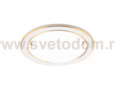 Светильник Ambrella G170 PS/G