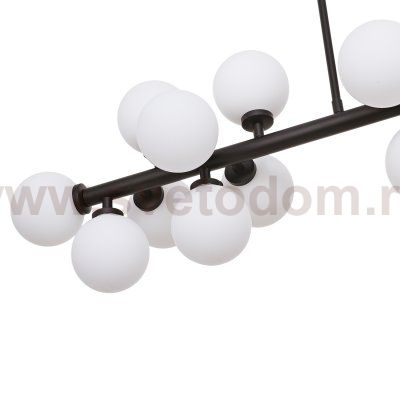 Потолочный светильник G21011/16BK WT Gerhort