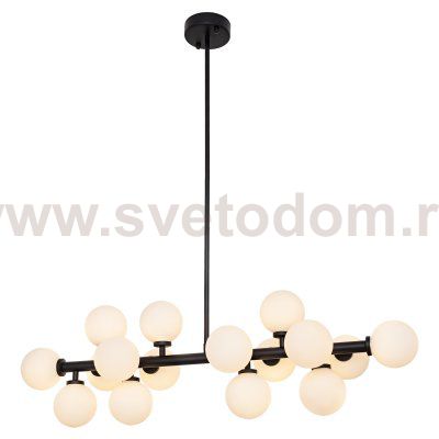 Потолочный светильник G21011/16BK WT Gerhort