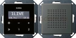 Gira E22 Сталь Радио скрытого монтажа (G228020)