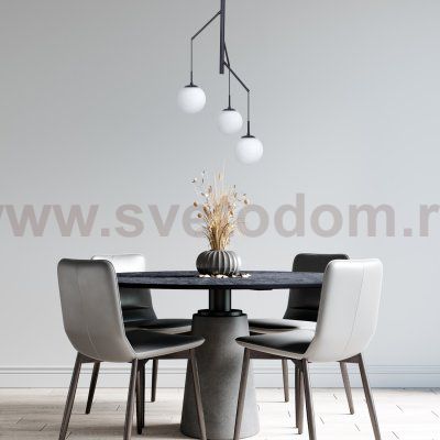 Потолочный светильник G31112/3BK WT Gerhort