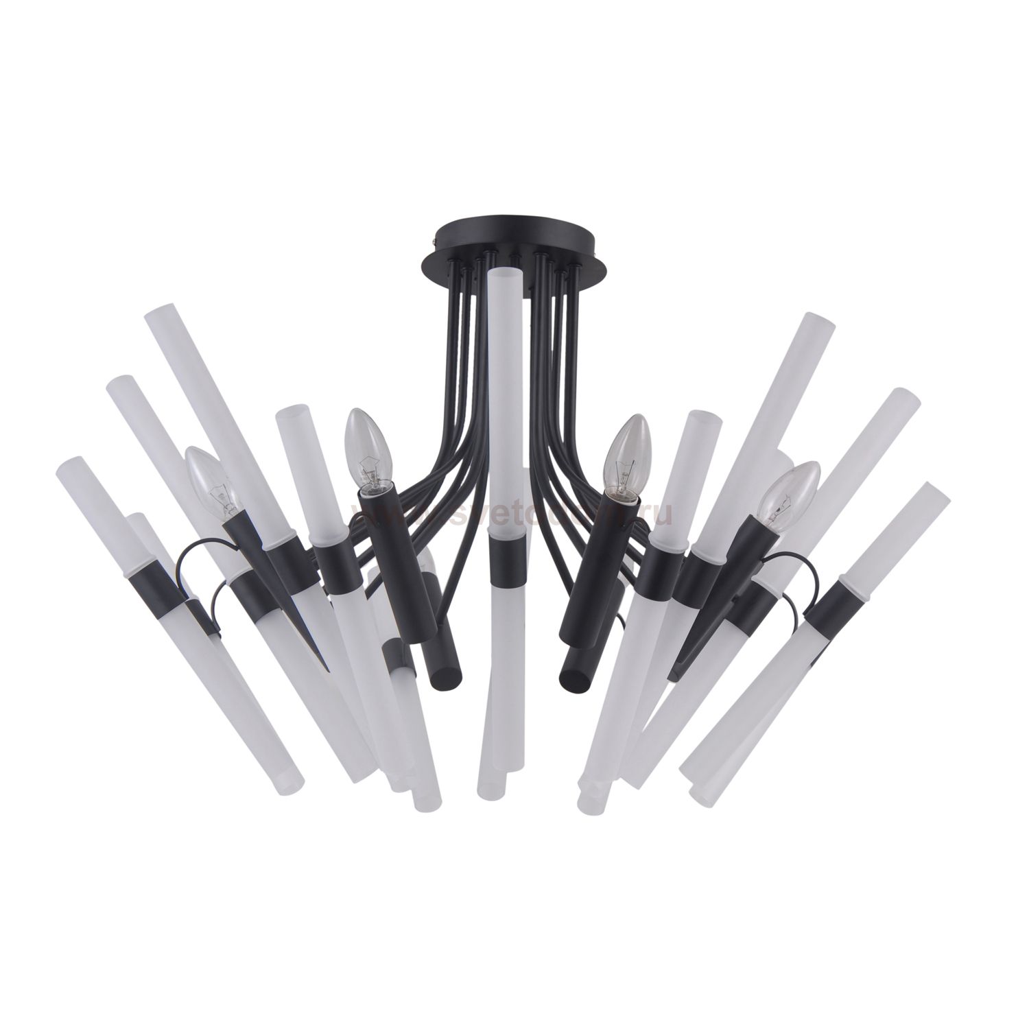 Потолочный светильник G31116/8BK WT Gerhort