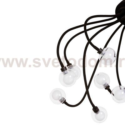 Потолочный светильник G61145/8BK CL+WT Gerhort