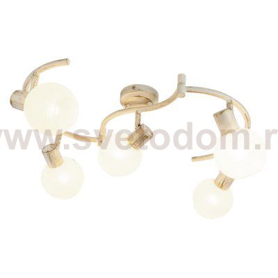 Спотовый светильник G81028/5C WT WT Gerhort